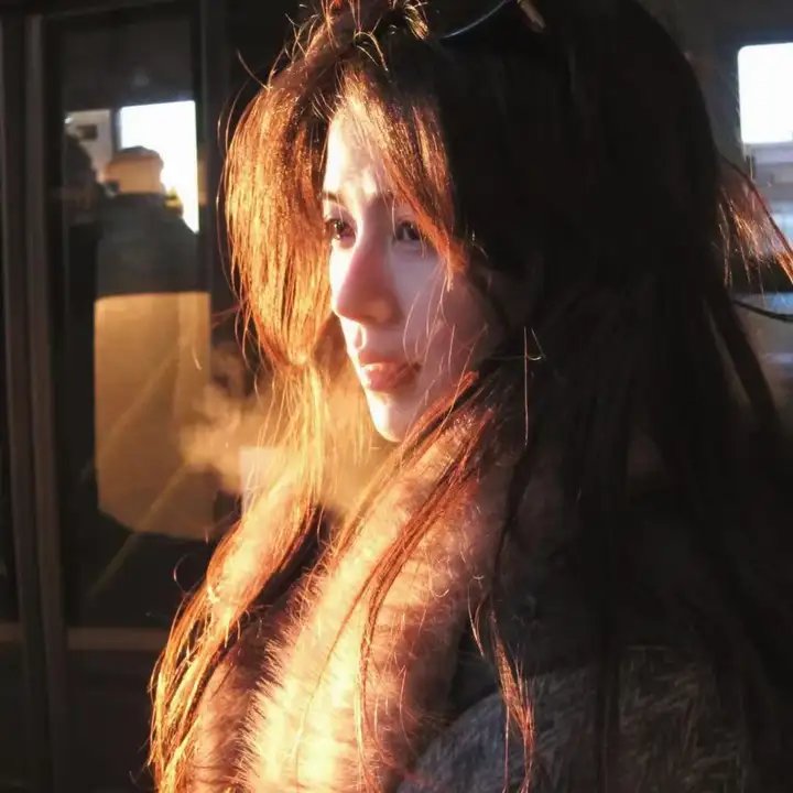 复仇2008